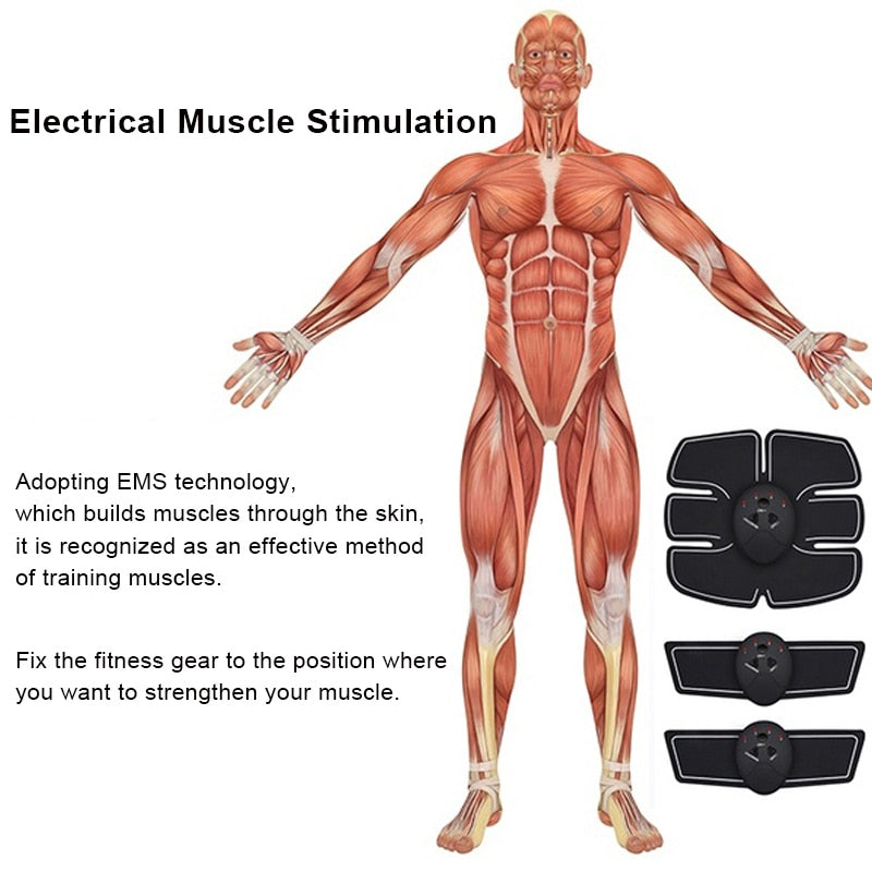 Unisex Muscle Stimulator Slimming Fat Burning Abs Muscle Trainer